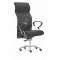 CARYON Office Chair