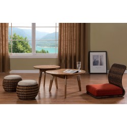 ZOUYA Coffee Table Set ZOUYA Coffee Table Set