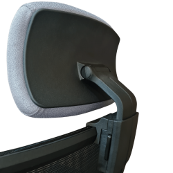 ERGOCOMFORT HighBack Mesh Chair