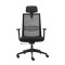 ERGOCOMFORT HighBack Mesh Chair