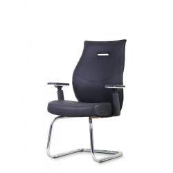 VERITAS Visitor Chair VERITAS Visitor Chair
