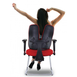 INSULA 2 Visitor Chair INSULA 2 Visitor Chair