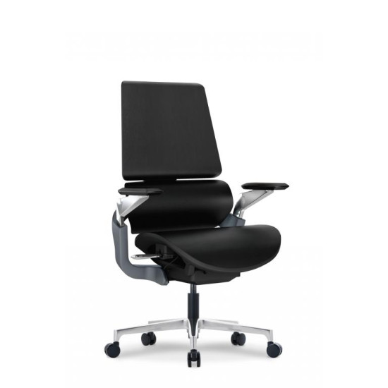 AeronTwo Ergonomic Midback Chair