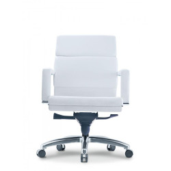 FIDES Lowback Chair FIDES Lowback Chair
