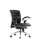 AUREUS Lowback Chair