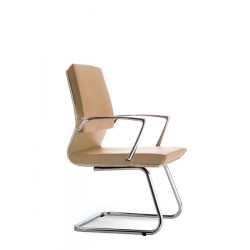 COMPASSIO Visitor Chair COMPASSIO Visitor Chair