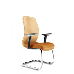 SOL Visitor Chair SOL Visitor Chair