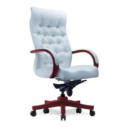 SALUS Highback Chair SALUS Highback Chair