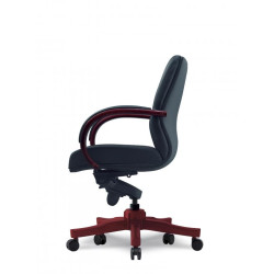 SALUS Lowback Chair SALUS Lowback Chair