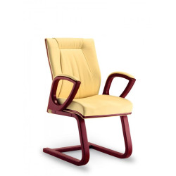 TERRA Visitor Chair TERRA Visitor Chair