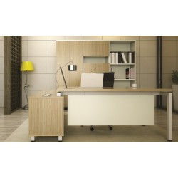 MAX Director Desk Set MAX Director Desk Set