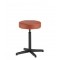 BAR1 Stool