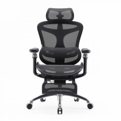 DORO C300 Ergonomic High Back Mesh Chair with Footrest