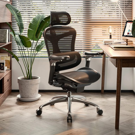 SIHOO Doro C300 Ergonomic High-Back Mesh Chair with Footrest