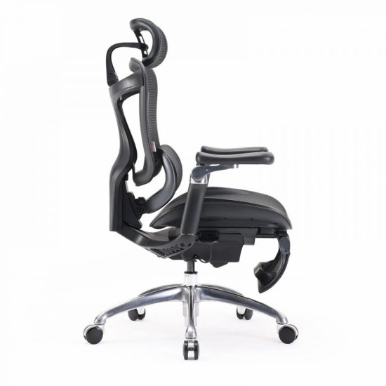 SIHOO Doro C300 Ergonomic High-Back Mesh Chair with Footrest