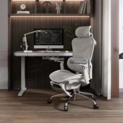 DORO C300 Ergonomic High Back Mesh Chair with Footrest