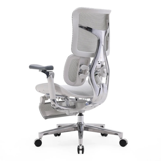 SIHOO S300 Flagship Ergonomic Chair