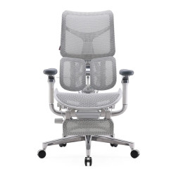 S300 Ergonomic High Back Mesh Chair