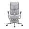 S300 Ergonomic High Back Mesh Chair
