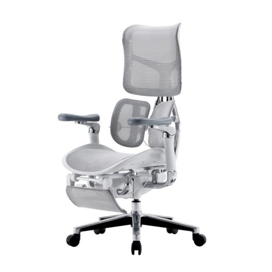 SIHOO S300 Flagship Ergonomic Chair