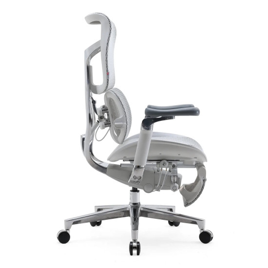 SIHOO S300 Flagship Ergonomic Chair