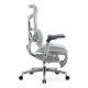 SIHOO S300 Flagship Ergonomic Chair