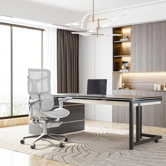 SIHOO S300 Flagship Ergonomic Chair
