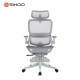 B100-PRO Ergonomic Highback Mesh Chair with Footrest