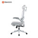 B100-PRO Ergonomic Highback Mesh Chair with Footrest