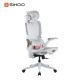 B100-PRO Ergonomic Highback Mesh Chair with Footrest