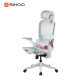 B100-PRO Ergonomic Highback Mesh Chair with Footrest