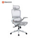 B100-PRO Ergonomic Highback Mesh Chair with Footrest