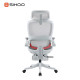 B100-PRO Ergonomic Highback Mesh Chair with Footrest