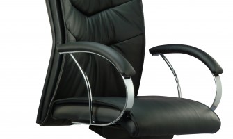 MANAGER AND DIRECTOR SERIES