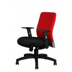 AZOLLA 2 Lowback Arm Chair AZOLLA 2 Lowback Arm Chair