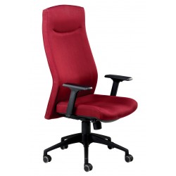 AZOLLA 3 Highback Arm Chair AZOLLA 3 Highback Arm Chair