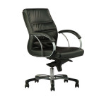 DIVA Leather Series D - Lowback Arm Chair
