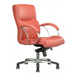 DIVA Leather Series E - Lowback Armchair DIVA Leather Series E - Lowback Armchair