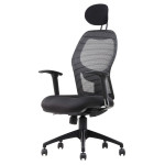 WEBPRO 3A - Highback Arm Chair