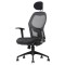 WEBPRO 3A - Highback Arm Chair
