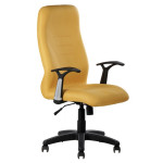 TAGO 3 - Highback Arm Chair