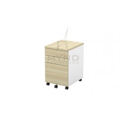 B Series Mobile Pedestal 2D1F (E) B Series Mobile Pedestal 2D1F (E)