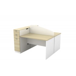 B Series Mini Workstation B Series Mini Workstation