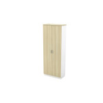Swinging Door High Cabinet
