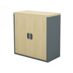 Swing Door Cabinet