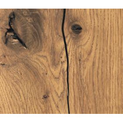 ISOTOP Table Top - Basic